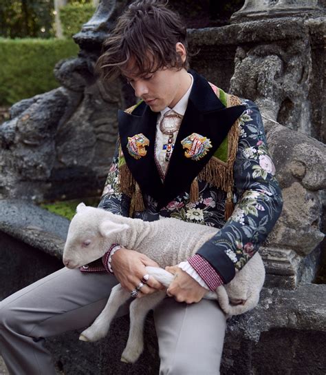 harry styles gucci animali|harry styles gucci 2021.